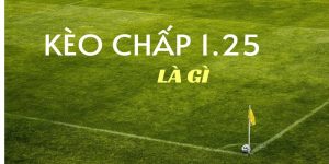 Kèo chấp 1.25 là gì? Bí kíp chinh phục tỷ lệ handicap 1.25