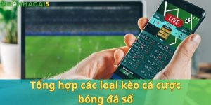 Kèo Nhà Cái 5_Tổng Hợp Kèo Cá Cược Bóng Đá Số Chi Tiết Nhất