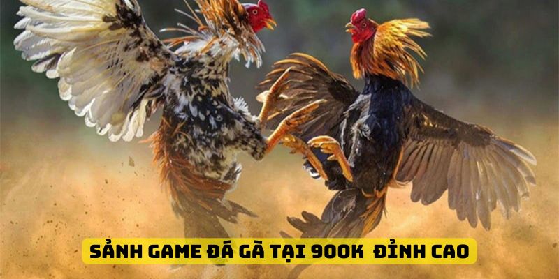 Sảnh game đá gà đỉnh cao